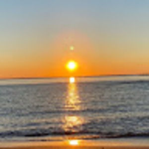 Meet your Posher, Sophie